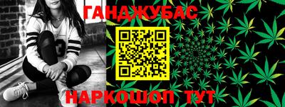 молекула духа Шелехов