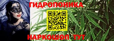 бошки Шебекино