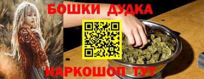 молекула духа Шелехов